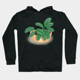 House Plant Potted Tropical Leaf Illustration Hoodie